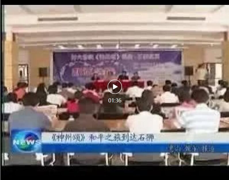 上海和平之旅文化传播有限公司